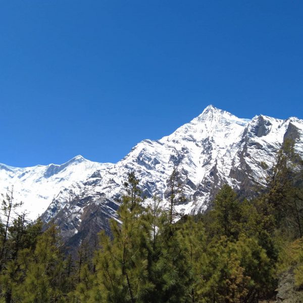 Health and safety in the Mountains of Himalayas