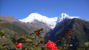 Nepal travel and tours information online